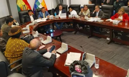 Gobierno frena contratos de litio para calmar protestas