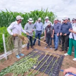 Anapo alista la «campaña revancha»; podría duplicar las toneladas de granos