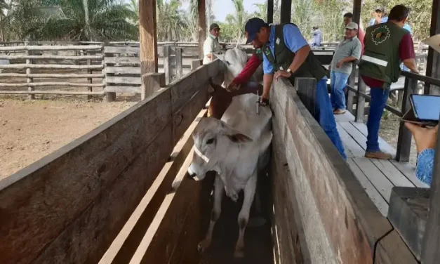 Ganaderos cancelan reunión con el Gobierno tras suspensión de exportación de carne y denuncian contrabando y falta de control