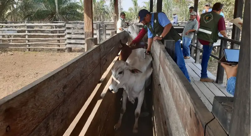 Ganaderos cancelan reunión con el Gobierno tras suspensión de exportación de carne y denuncian contrabando y falta de control