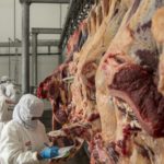 El Gobierno boliviano mantiene la suspensión de certificados para la exportación de carne de res