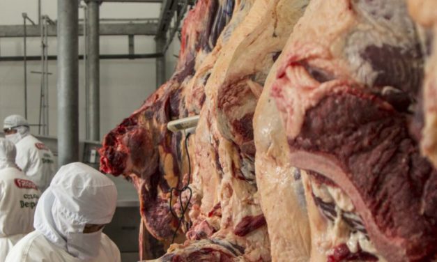 El Gobierno boliviano mantiene la suspensión de certificados para la exportación de carne de res