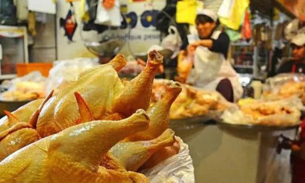 La Paz: luego que el kilo de pollo llegó a Bs 27, el Gobierno dice que problemas en carreteras dificultan la llegada del producto