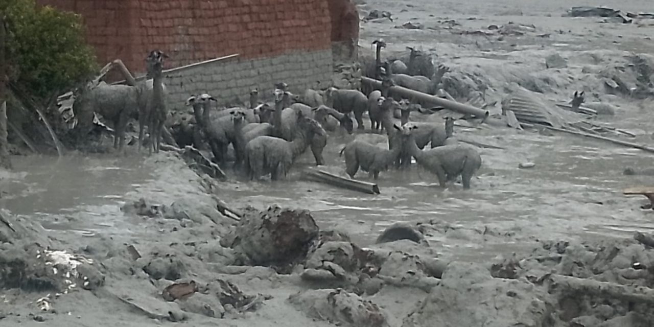 Norte Potosí: Inundación, mazamorra y desastre ambiental en Andavillque