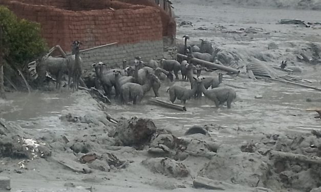 Norte Potosí: Inundación, mazamorra y desastre ambiental en Andavillque