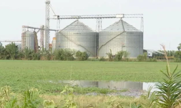 Productores de soya y arroz se reúnen el lunes para definir medidas por la falta de diésel, según dirigente