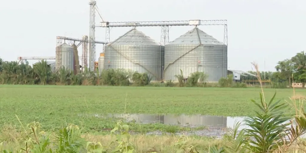 Productores de soya y arroz se reúnen el lunes para definir medidas por la falta de diésel, según dirigente