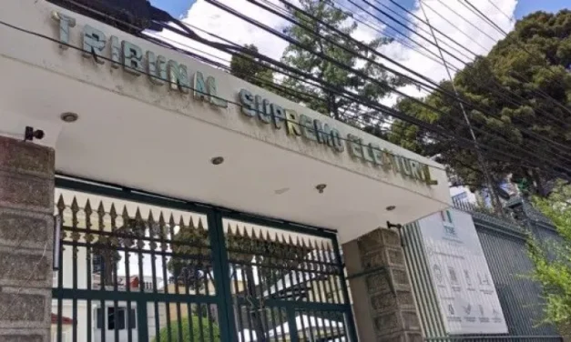 El TSE aprobó el reglamento para el trámite de registro y extinción de alianzas para las elecciones