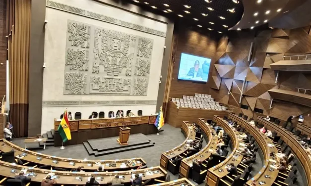 Diputados aprueban en grande la ley del TREP para 2025
