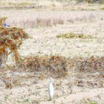 Tras sequías y ante contaminación, impulsan construcción de ley del agua