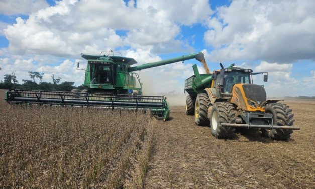 Cosecha de soya llega a 60%, pero el veto a las exportaciones se mantiene