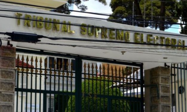 Catorce partidos y una agrupación ciudadana entregaron su balance económico al TSE