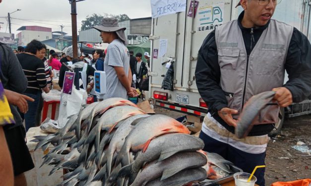 Pese a precios altos, familias buscan pescado por Semana Santa