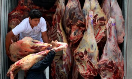 Carniceros exigen veto por tres años a la exportación de carne de res