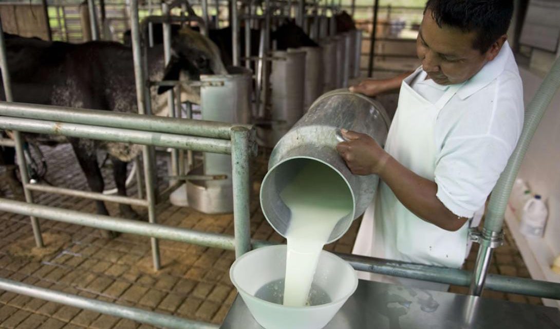 Diputado denuncia irregularidades en Fondo Pro Leche y comisión aprueba su ampliación hasta el año 2040