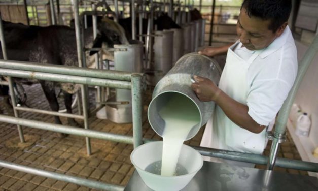 Diputado denuncia irregularidades en Fondo Pro Leche y comisión aprueba su ampliación hasta el año 2040