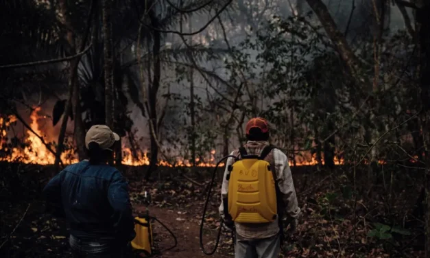 Fundación Tierra observa que de 136 procesos judiciales por incendios iniciados en 2024 sólo seis tienen sentencia