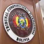 Elecciones: el TCP declaró inconstitucional la reelección continua y discontinua