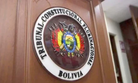 Elecciones: el TCP declaró inconstitucional la reelección continua y discontinua