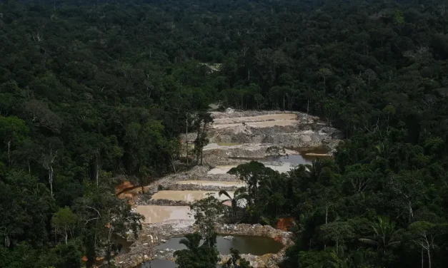 Oro manchado de sangre: La minería ilegal desangra a Perú y sacude a Bolivia y otros países de Sudamérica