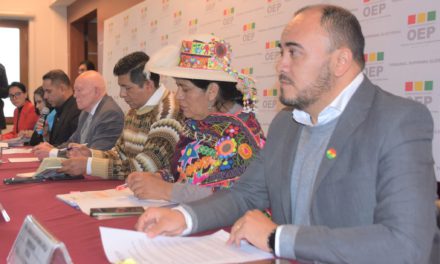 TSE ratifica que pueblos indígenas participarán solo en comicios subnacionales