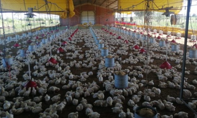 El Ejecutivo anuncia un fideicomiso y aranceles cero para la producción agrícola y avícola