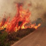Gobierno coordina plan contra incendios con sectores clave