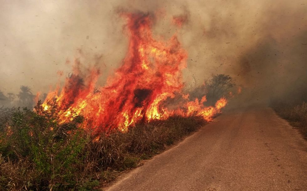 Gobierno coordina plan contra incendios con sectores clave