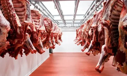 Veto a carne pone en riesgo mercados estratégicos