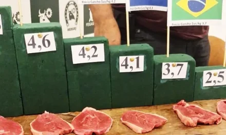 Ganaderos dicen que Bolivia tiene el precio más bajo de la carne lo que incentiva su contrabando
