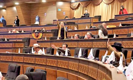 Diputados garantizan que las decisiones del TSE son inapelables e irrevisables