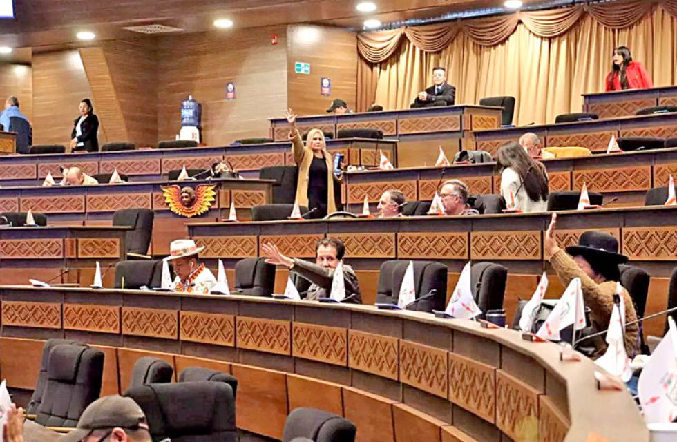 Diputados garantizan que las decisiones del TSE son inapelables e irrevisables