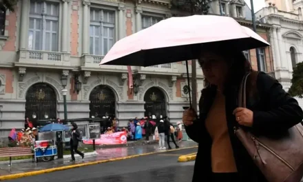 Gobierno anuncia ocho medidas por frente frío polar