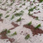 Heladas y granizadas dejan 366.943 familias afectadas y 2 personas fallecidas