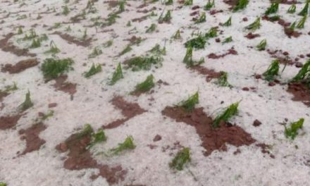 Heladas y granizadas dejan 366.943 familias afectadas y 2 personas fallecidas