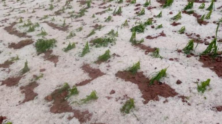 Heladas y granizadas dejan 366.943 familias afectadas y 2 personas fallecidas