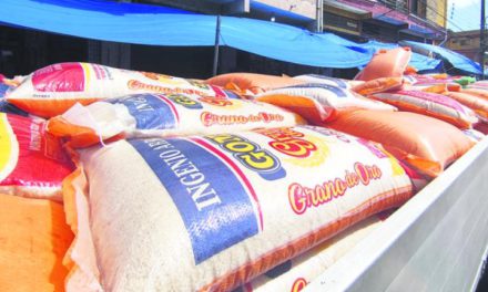 Productores cuestionan decreto de importación de arroz
