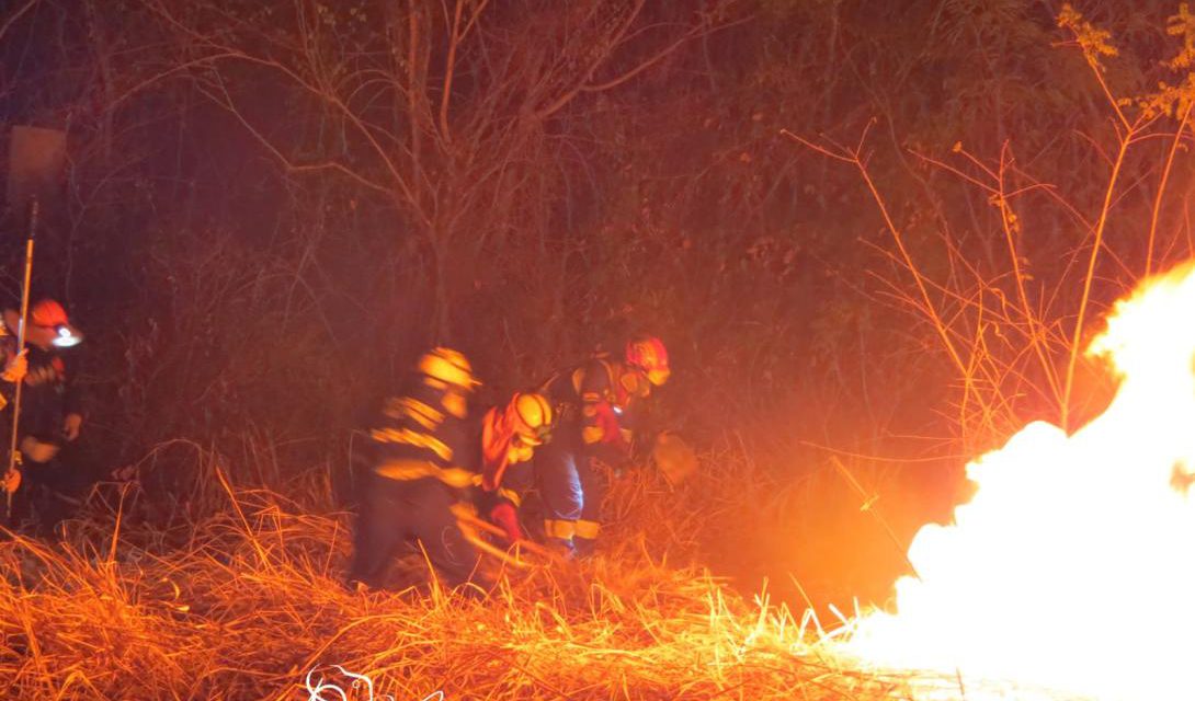 Dos tercios de incendios fueron quemas malintencionadas
