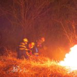 Dos tercios de incendios fueron quemas malintencionadas
