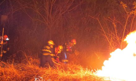 Dos tercios de incendios fueron quemas malintencionadas