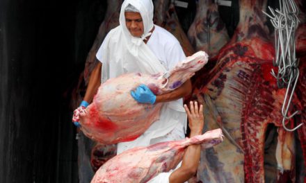 Bolivia es libre de fiebre aftosa sin vacunación, pero falta estrategia comercial