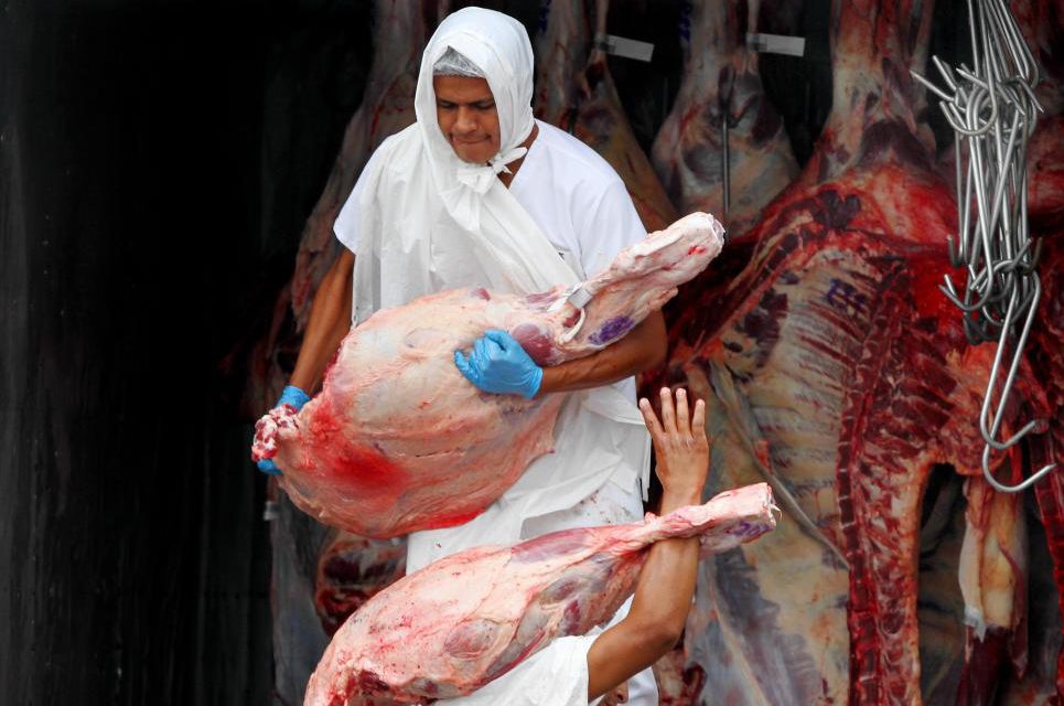 Bolivia es libre de fiebre aftosa sin vacunación, pero falta estrategia comercial