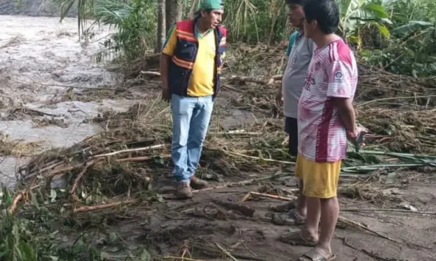 Caranavi: Riadas afectan 119 comunidades y miles de viviendas