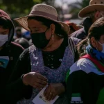Siete plantas para aliviar los síntomas de infecciones respiratorias