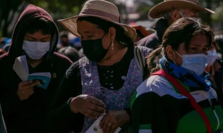 Siete plantas para aliviar los síntomas de infecciones respiratorias