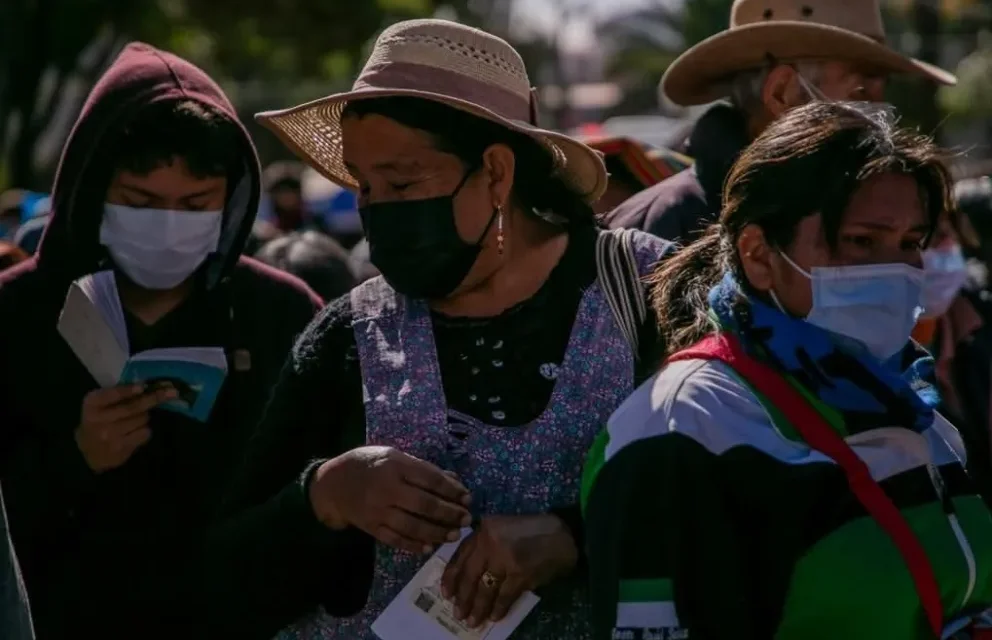 Siete plantas para aliviar los síntomas de infecciones respiratorias