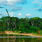 SERNAP asegura que no tiene compromisos con mineros y priorizará la conservación de la biodiversidad de las áreas protegidas