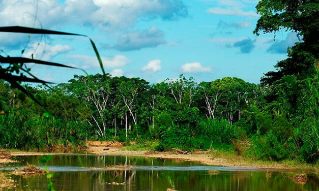 SERNAP asegura que no tiene compromisos con mineros y priorizará la conservación de la biodiversidad de las áreas protegidas