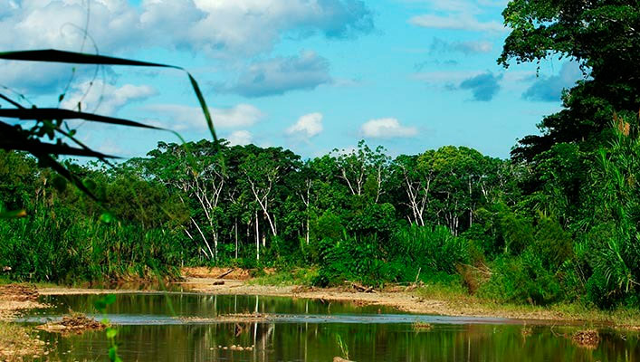 SERNAP asegura que no tiene compromisos con mineros y priorizará la conservación de la biodiversidad de las áreas protegidas