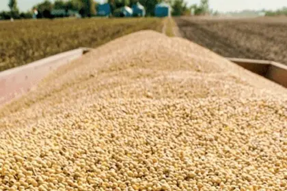 Gobierno autoriza la exportación de 250.000 toneladas de soya